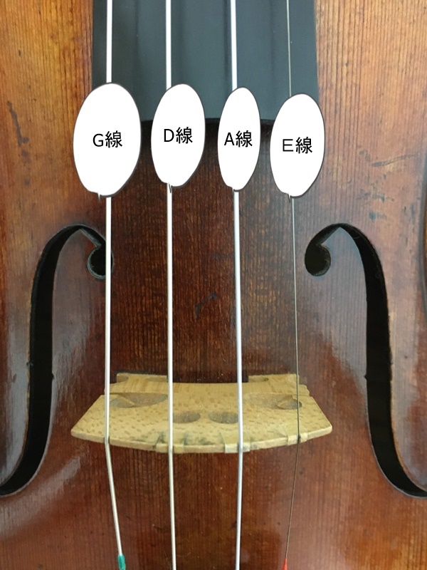バイオリン４弦の写真